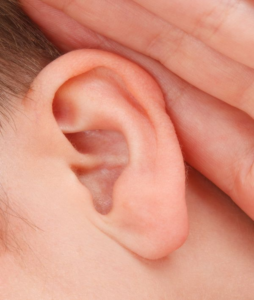 Une oreille